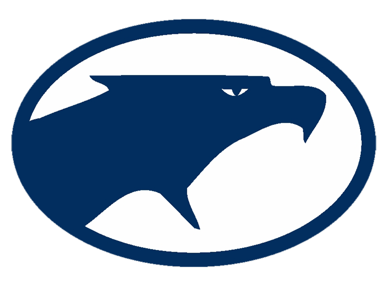 Fairmont Firebirds Football Logo