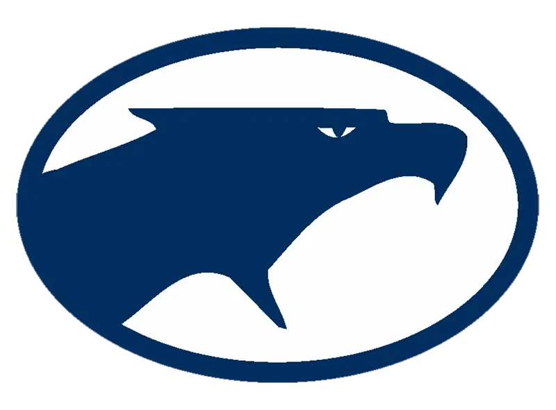 Fairmont Firebirds Football Logo