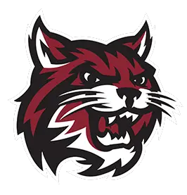 Newark Wildcats Football