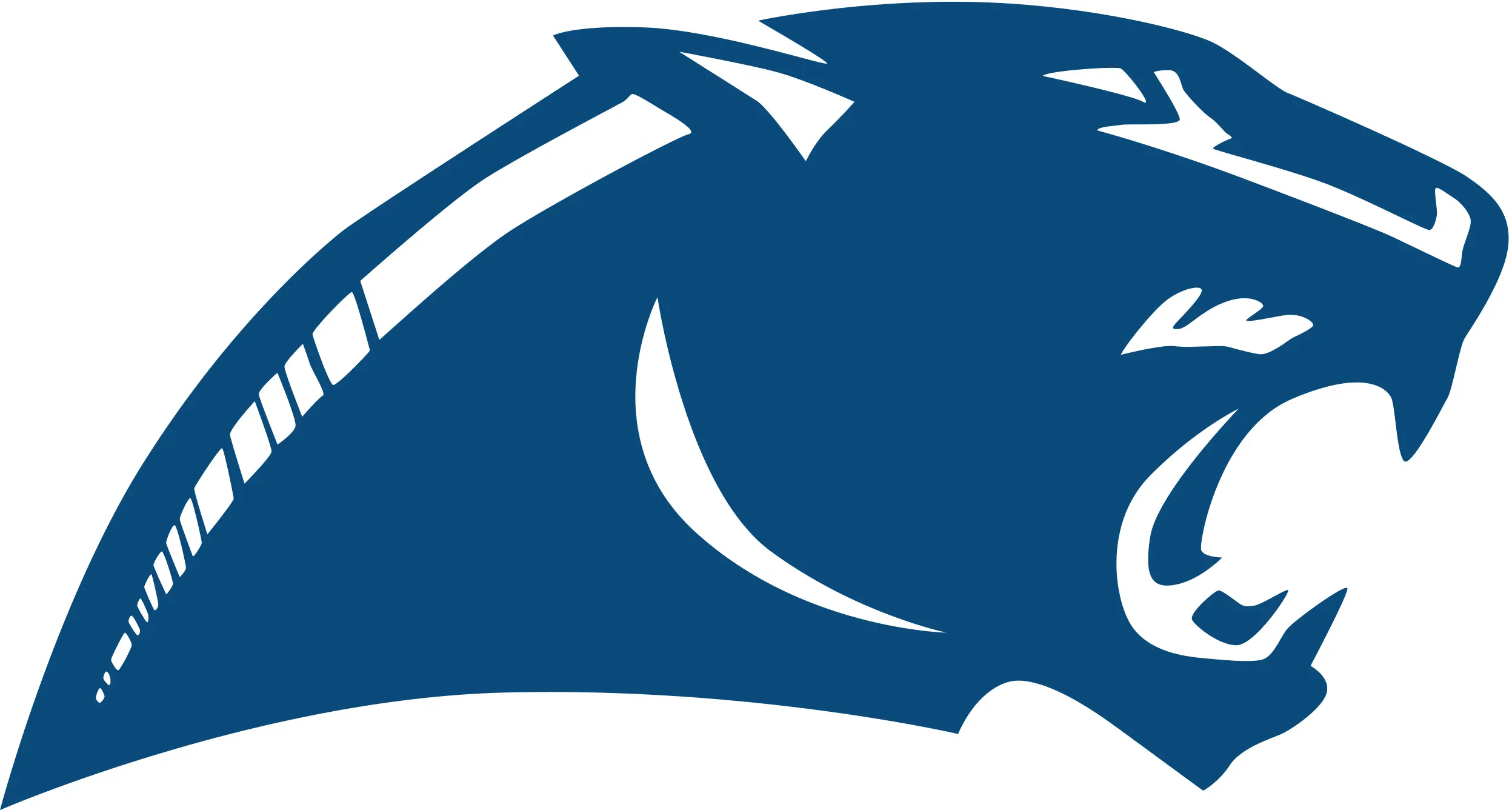 Springboro Panthers Football Logo